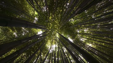 GMH Sustainability Report - 2025