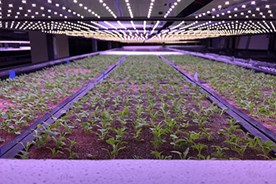 Gonvarri Material Handling Joins Global Vertical Farming Campaign